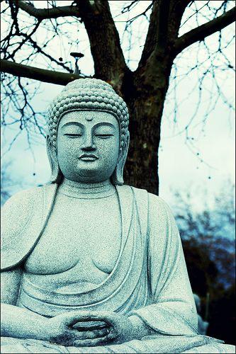 BUDA